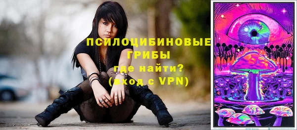 дмт Бронницы