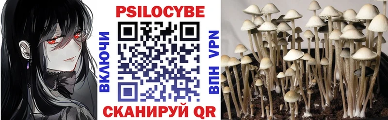 Псилоцибиновые грибы мухоморы Северодвинск